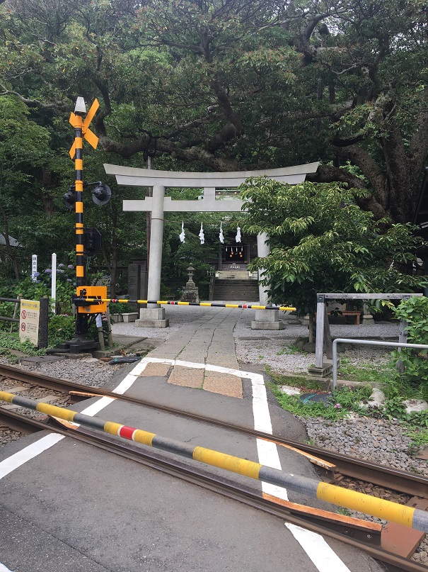 Macintosh HD:Users:mcue:Desktop:鎌倉紹介2_神社原稿・写真:鳥居.JPG